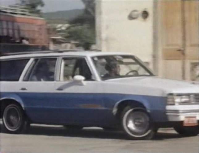 Pontiac LeMans Safari