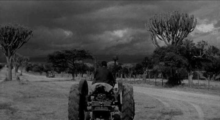 Fordson Major