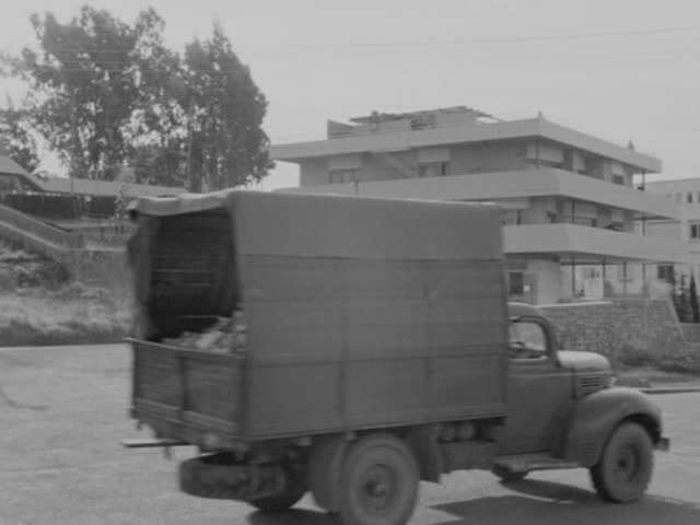Dodge D-15