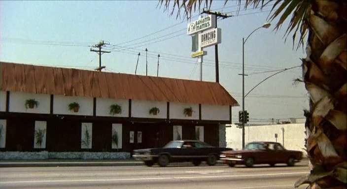 Dodge Monaco