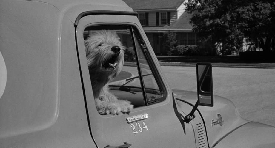 Ford F-100 Panel