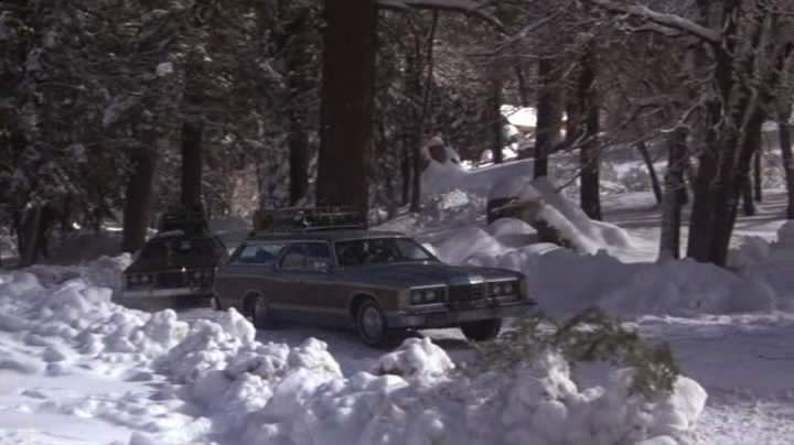 Ford LTD Country Squire
