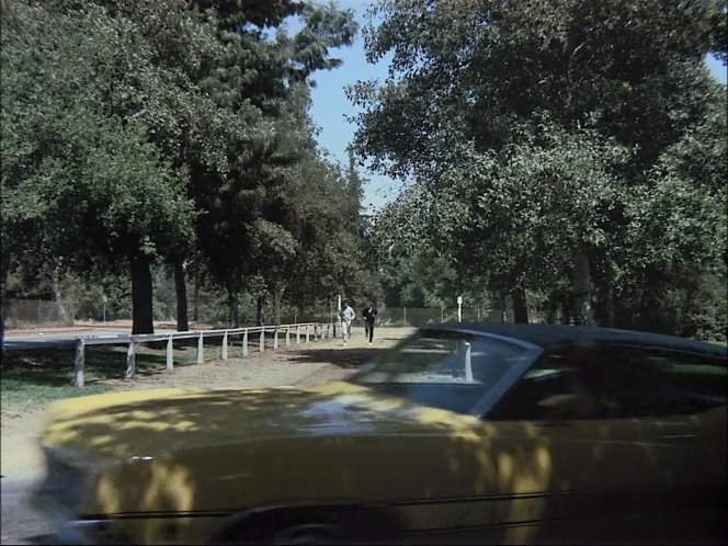 Ford Torino GT
