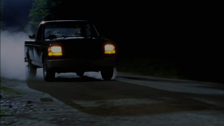 1994 Ford F-150 in Devour