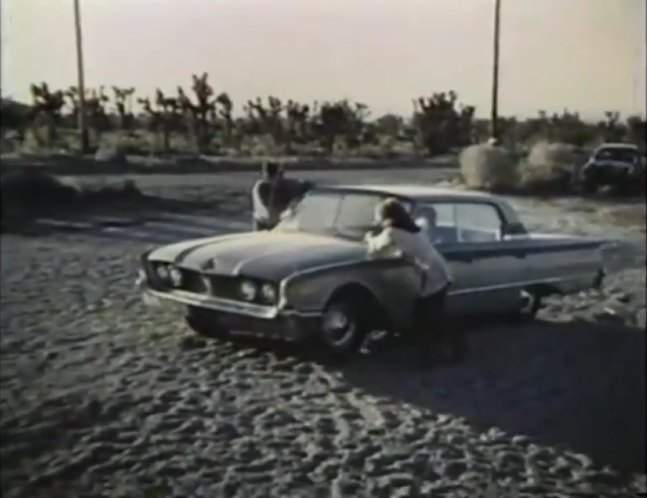 Ford Galaxie