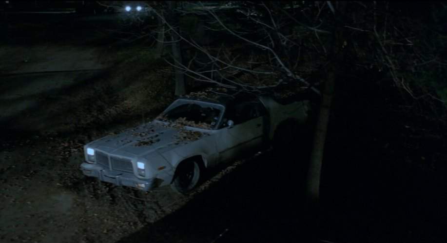 Dodge Monaco