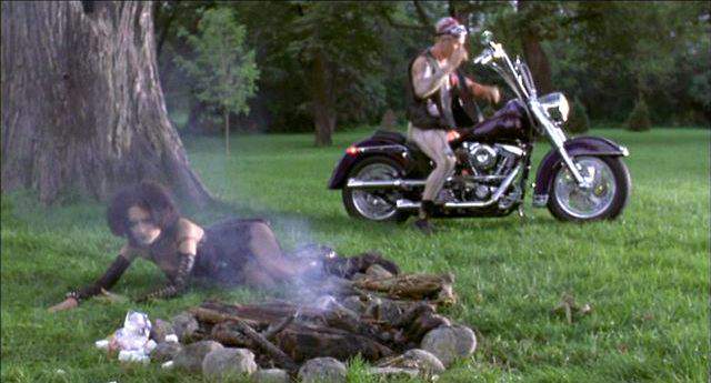 Harley-Davidson Heritage Softail