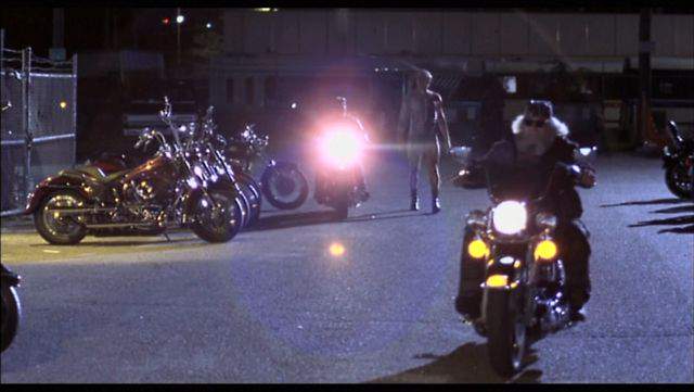 Harley-Davidson Softail Classic