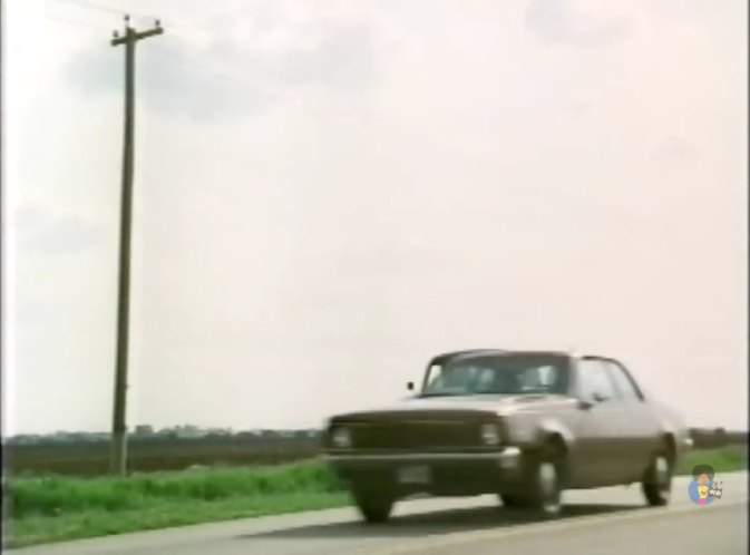 AMC Hornet