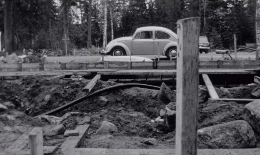 Volkswagen 1300