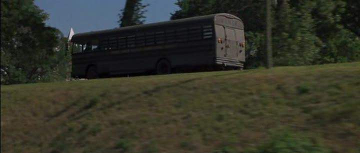 Blue Bird All American