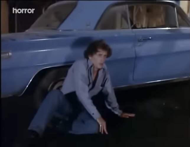 Buick Special Skylark