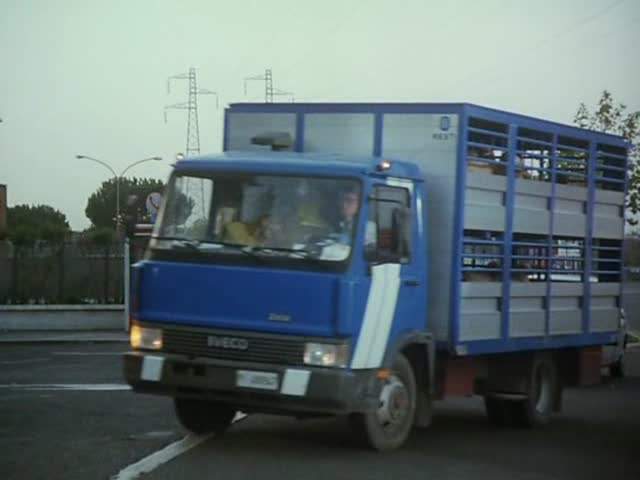 Iveco Zeta