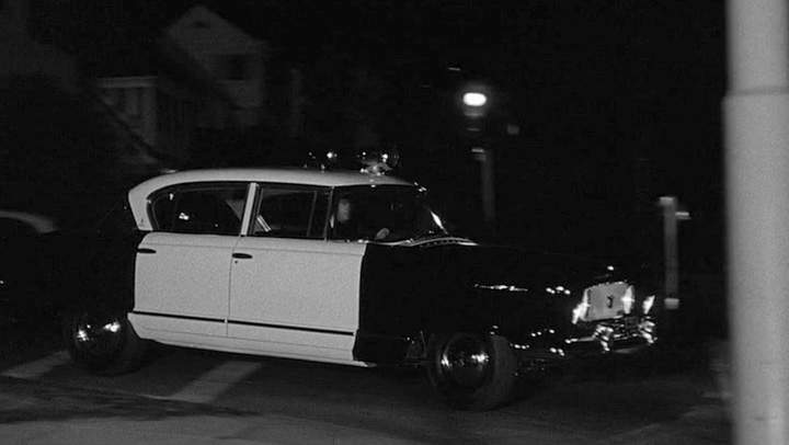 Nash Ambassador