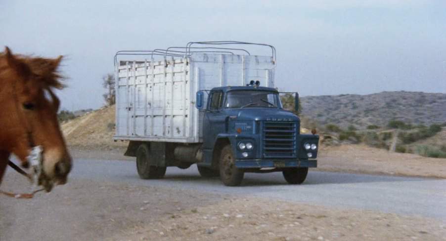 Dodge C-Series