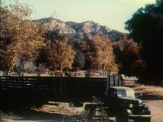 Ford V8