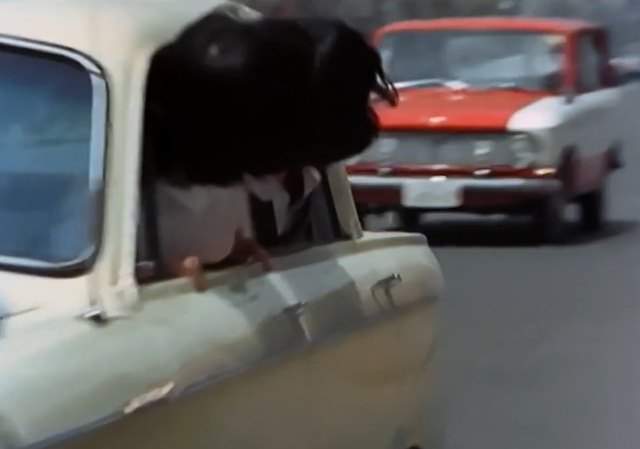 Datsun 1300 Van
