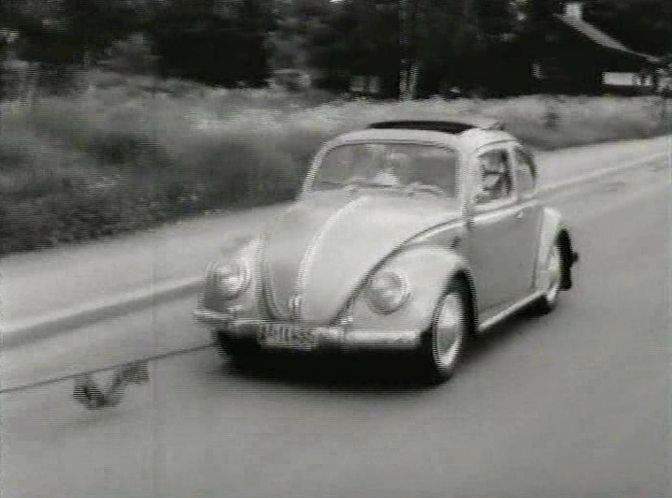Volkswagen Sonnendach-Limousine