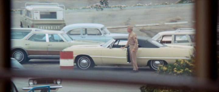 Oldsmobile Vista Cruiser