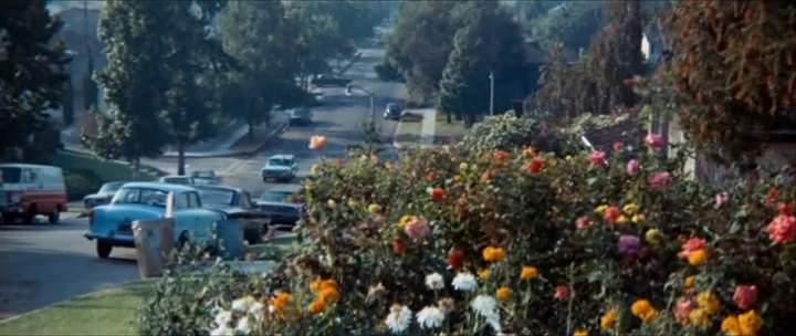 Rambler American