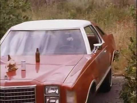 Ford LTD II