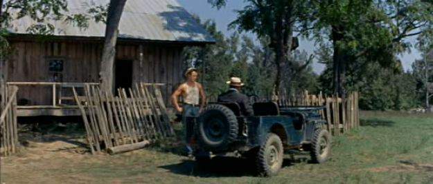 Willys Jeep CJ-3A