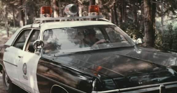 Dodge Polara