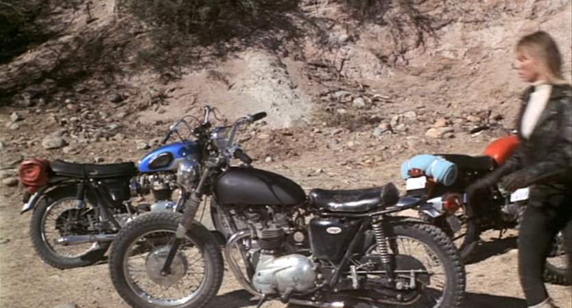 Triumph TR 6 Trophy
