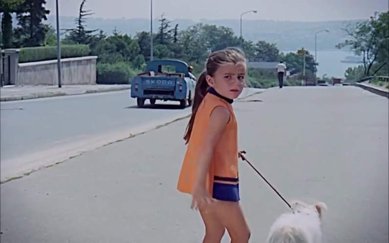 Škoda 1202 Kamyonet