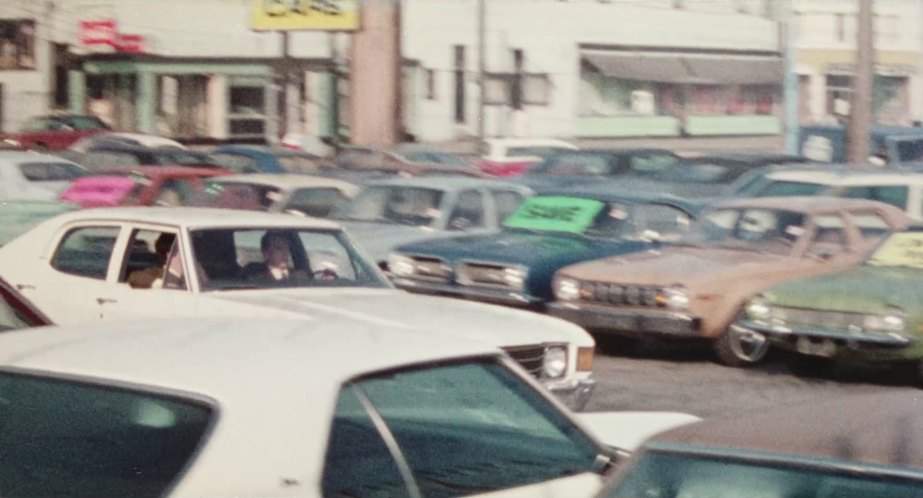 AMC Hornet