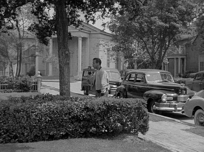 Nash Ambassador