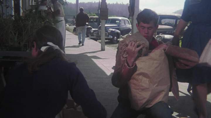 Chevrolet Special De Luxe