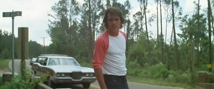 Ford LTD Country Squire