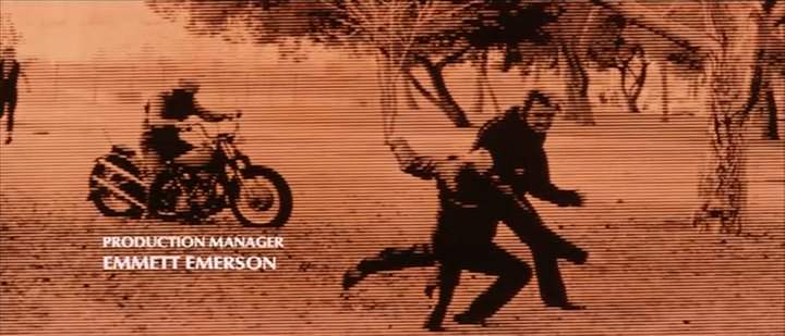 Harley-Davidson Custom Chopper