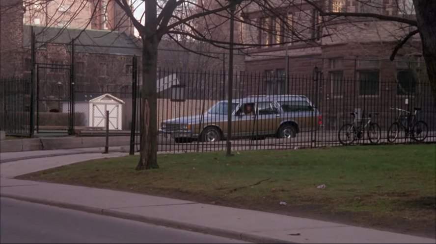 Chevrolet Caprice Estate