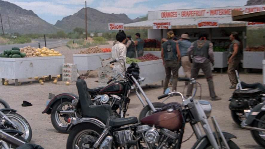 Harley-Davidson Duo Glide