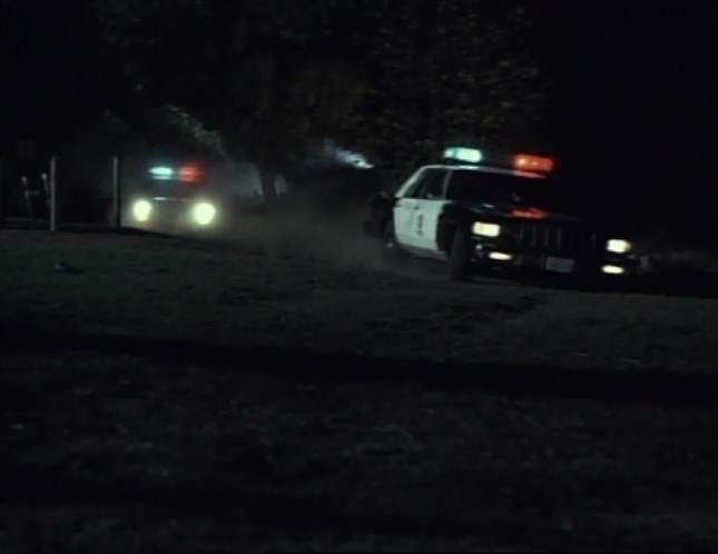 Dodge St. Regis