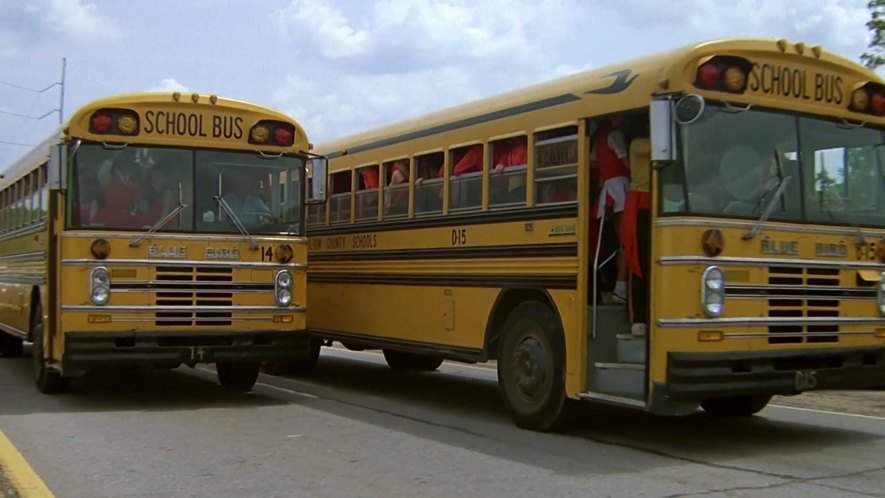 Blue Bird All American