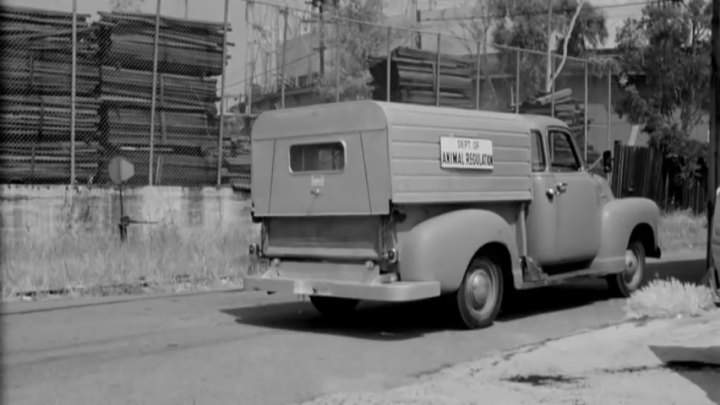 Chevrolet Advance-Design 3100