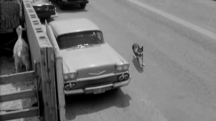 Chevrolet Bel Air