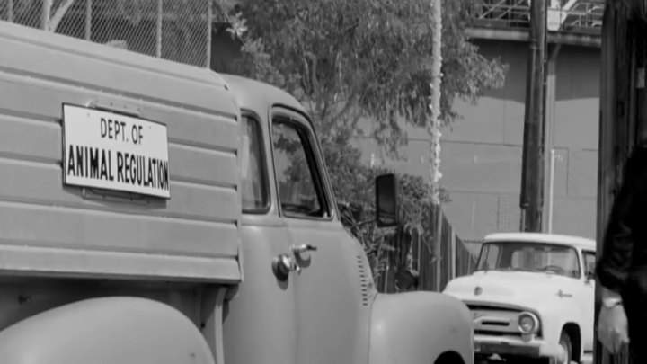 Ford F-100