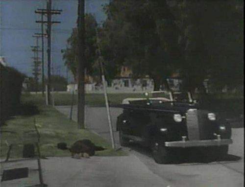Cadillac Ep. 5