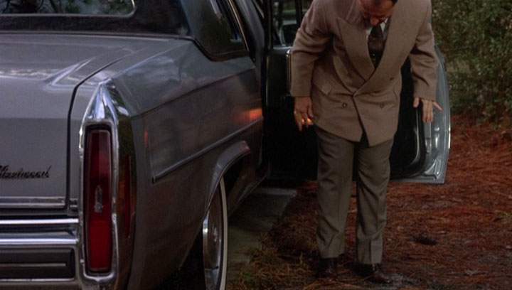 Cadillac Fleetwood Limousine