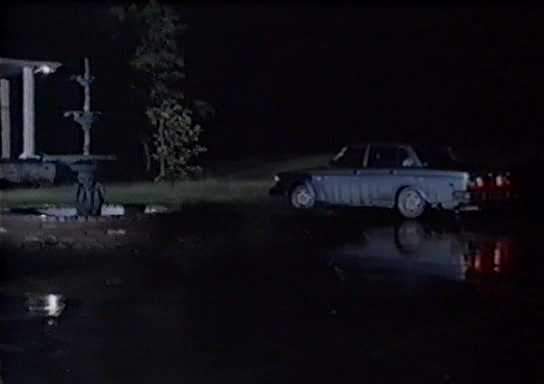 Volvo 244