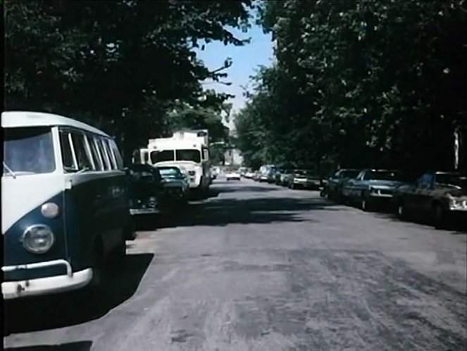 Volkswagen Station Wagon T1