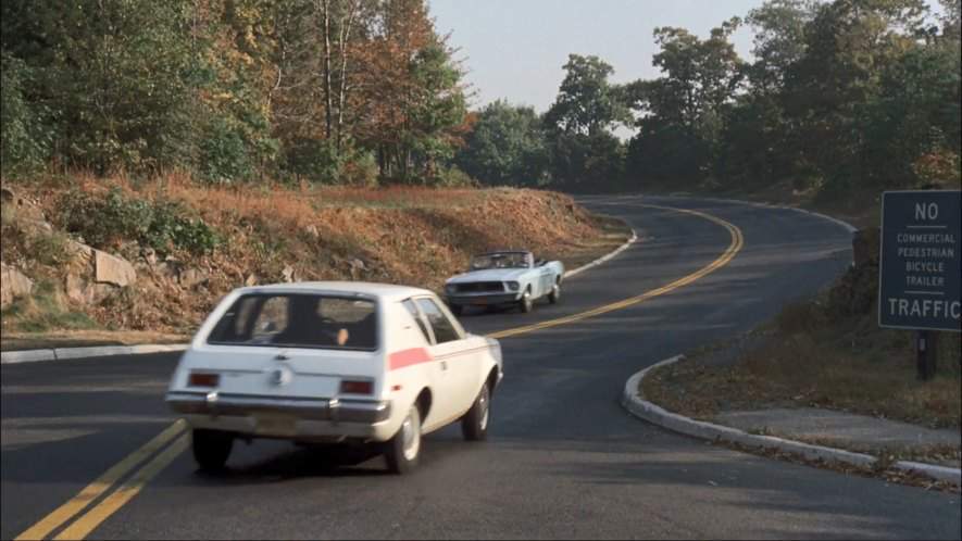 AMC Gremlin