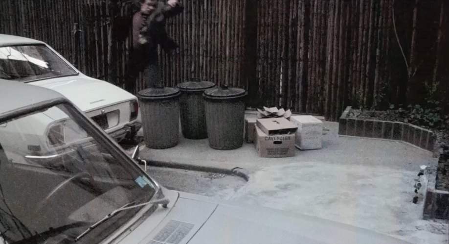 Peugeot 504