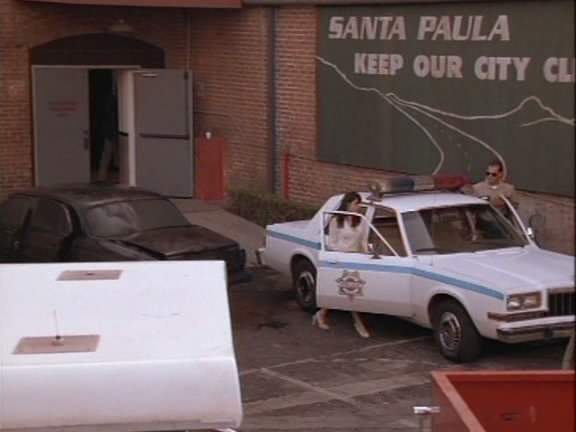 1984 Dodge Diplomat in Almost Dead