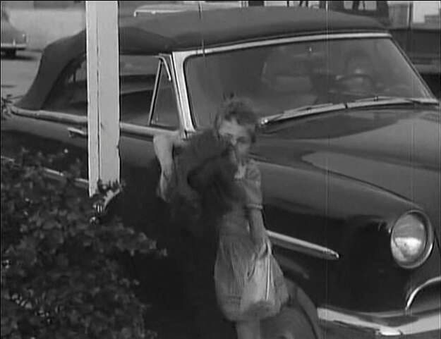Mercury Monterey