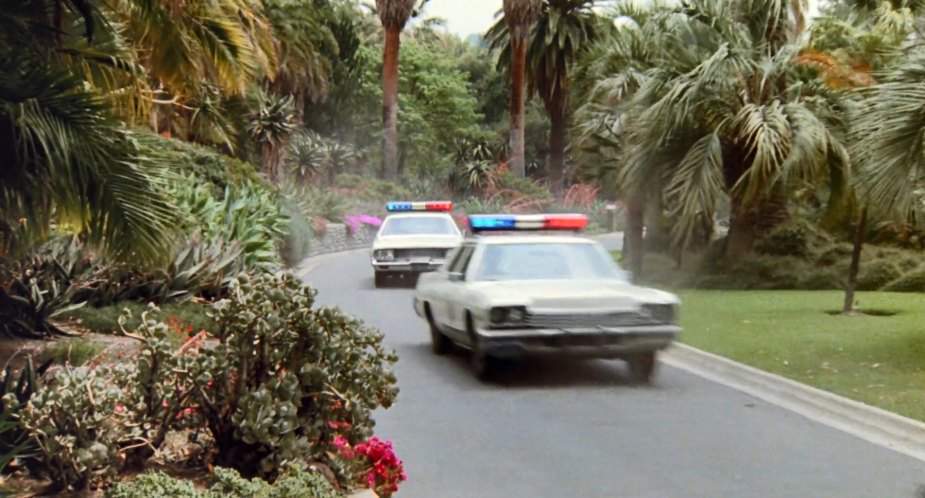 Dodge Monaco